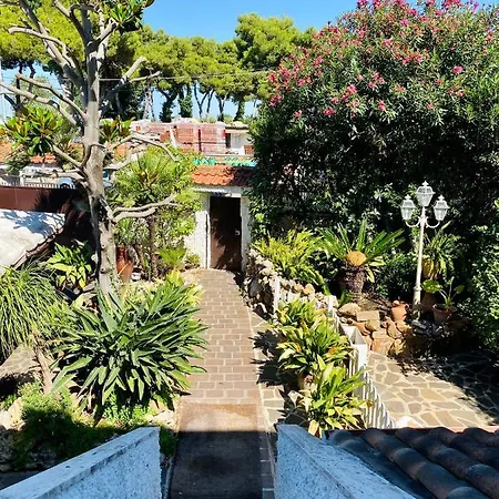 La Magnolia 140 *