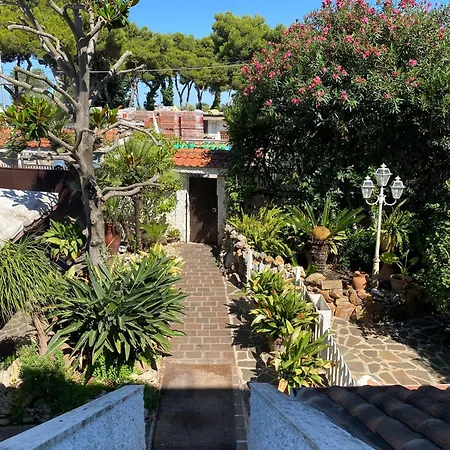 La Magnolia 140 *